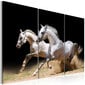 Maal - Horses- power and velocity цена и информация | Seinapildid | hansapost.ee