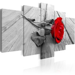 Maal - Rose on wood hind ja info | Seinapildid | hansapost.ee