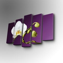Репродукция из пяти частей Орхидея белая цена и информация | Репродукции, картины | hansapost.ee