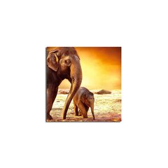 Репродукция Слоны цена и информация | Репродукции, картины | hansapost.ee