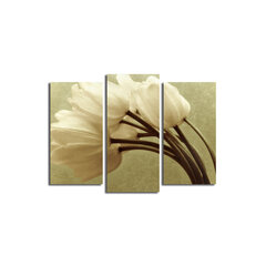 Репродукция из трех частей Белые тюльпаны цена и информация | Репродукции, картины | hansapost.ee