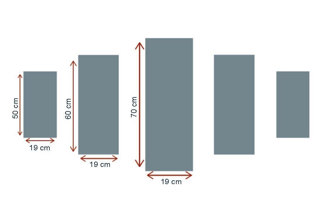 Viieosaline reproduktsioon Tiiger price and information | Seinapildid | hansapost.ee