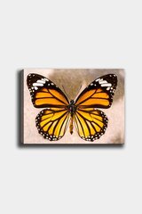 Репродукция на холсте Бабочка цена и информация | Настенные деревянные декорации | hansapost.ee