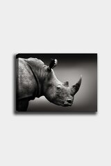 Репродукция Носорог цена и информация | Репродукции, картины | hansapost.ee