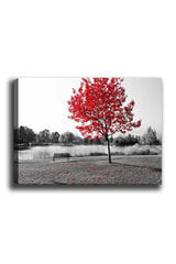 Reproduktsioon Punaste lehtedega puu hind ja info | Seinapildid | hansapost.ee