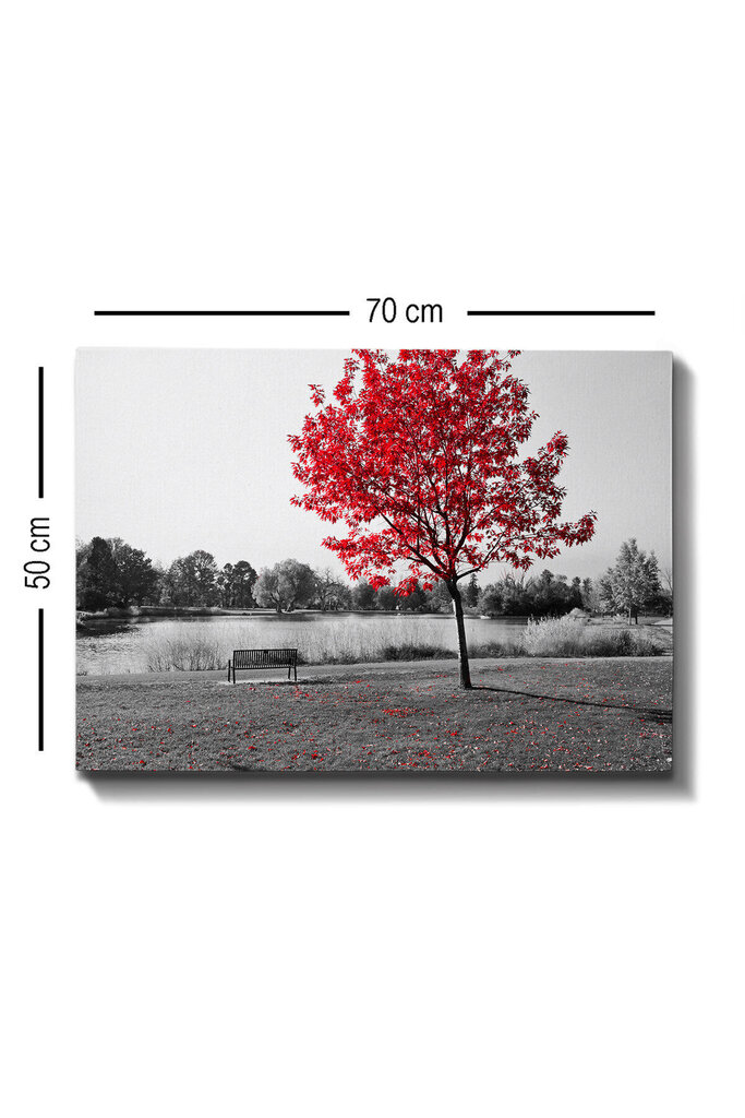 Reproduktsioon Punaste lehtedega puu цена и информация | Seinapildid | hansapost.ee