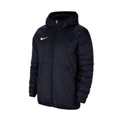 Куртка мужская Nike Team Park 20 Fall CW6157-451 цена и информация | Мужские куртки | hansapost.ee