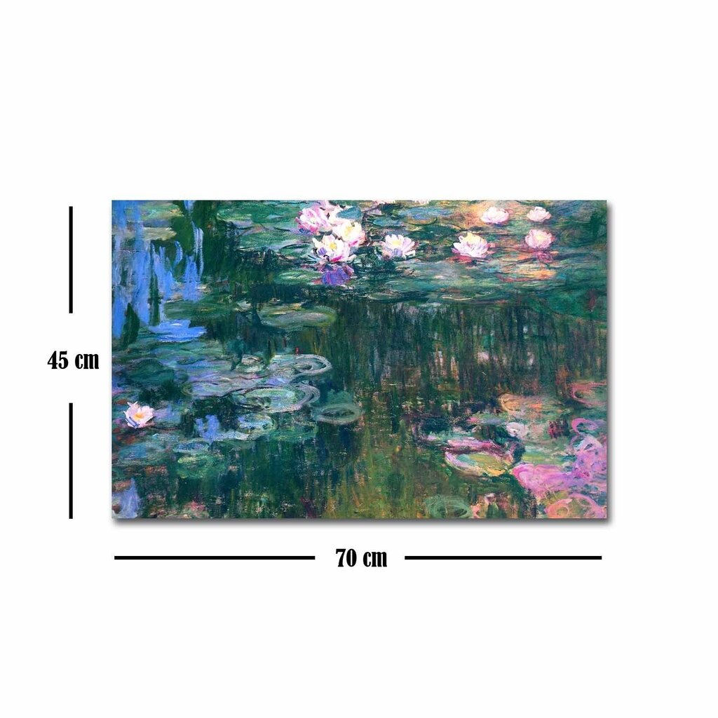 Reproduktsioon Vesiroosid (Claude Monet) hind ja info | Seinapildid | hansapost.ee