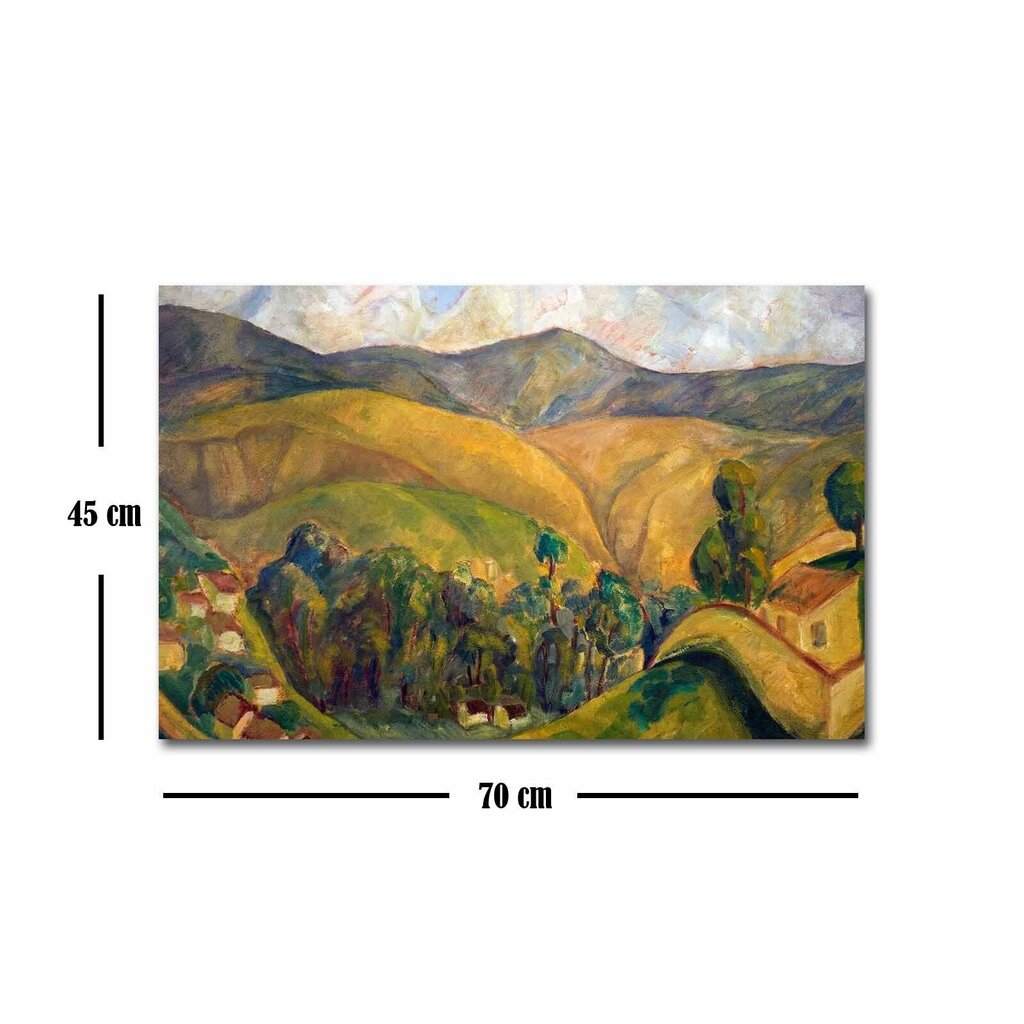 Reproduktsioon Landscape (Diego Rivera) hind ja info | Seinapildid | hansapost.ee