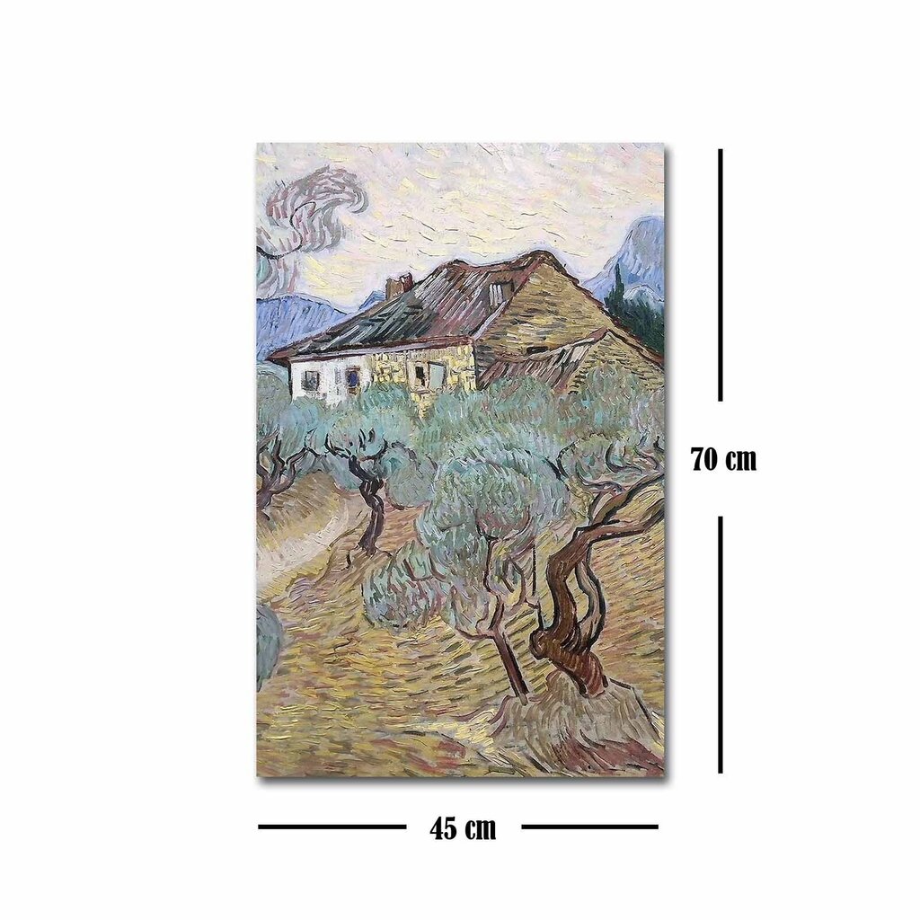 Reproduktsioon White Farmhouse Between Olive Trees (Vincent Van Gogh) цена и информация | Seinapildid | hansapost.ee