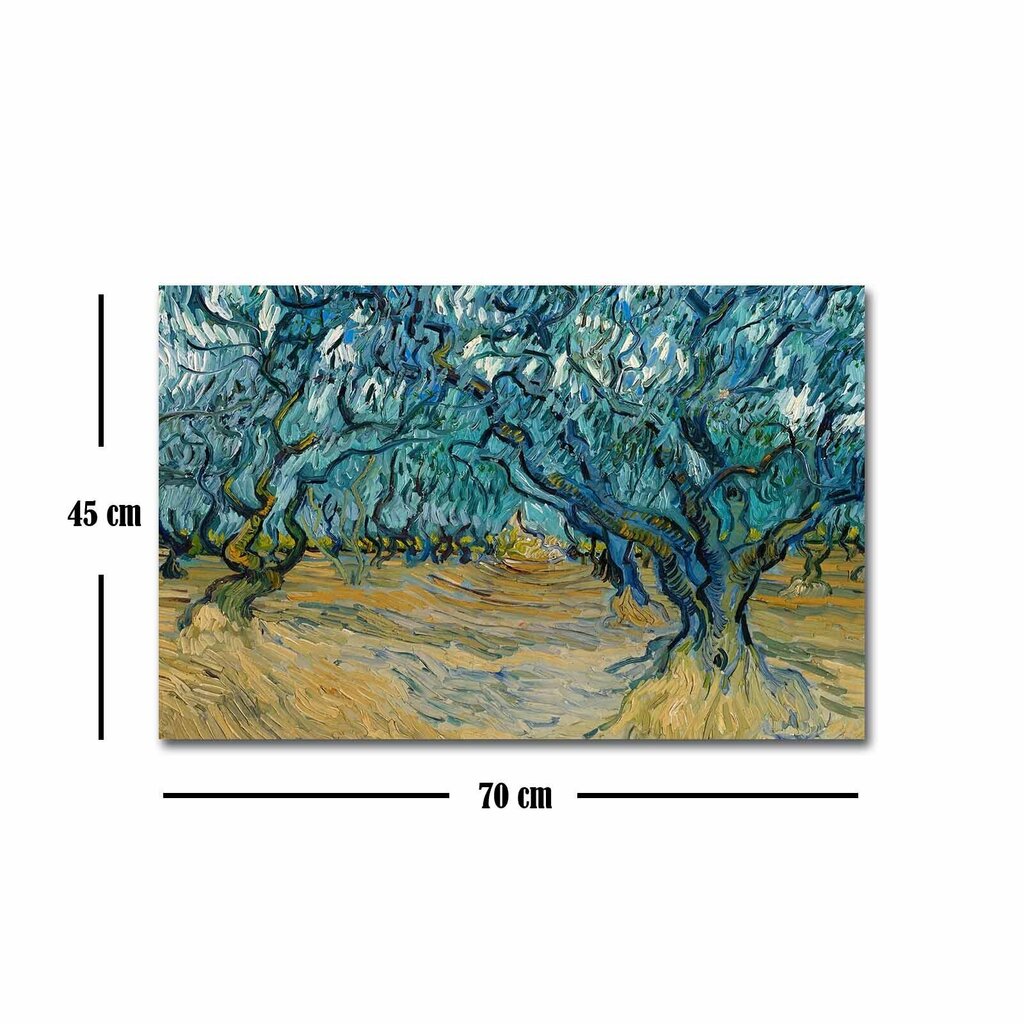 Reproduktsioon Olive Trees (Vincent Van Gogh) hind ja info | Seinapildid | hansapost.ee
