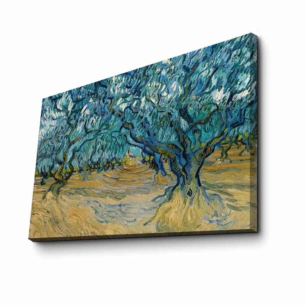 Reproduktsioon Olive Trees (Vincent Van Gogh) hind ja info | Seinapildid | hansapost.ee
