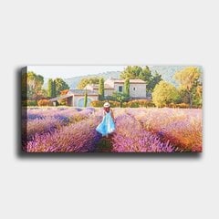 Reproduktsioon Tüdruk lavendlipõllul hind ja info | Seinapildid | hansapost.ee