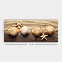 Репродукция Морские раковины цена и информация | Настенные деревянные декорации | hansapost.ee