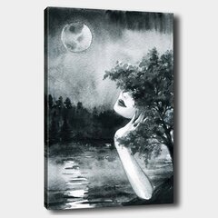 Репродукция Девушка в лунном свете цена и информация | Настенные деревянные декорации | hansapost.ee
