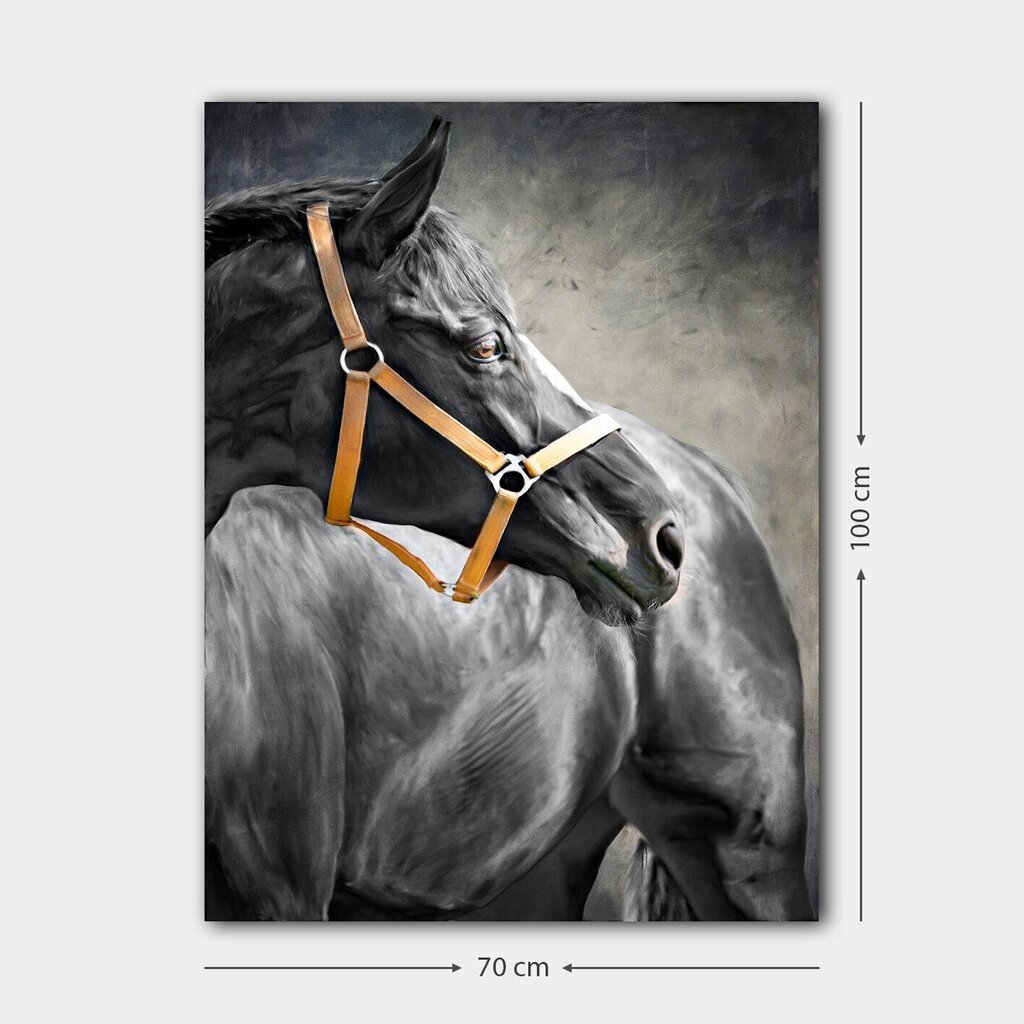 Reproduktsioon Must hobune цена и информация | Seinapildid | hansapost.ee