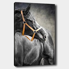 Репродукция Черная лошадь цена и информация | Настенные деревянные декорации | hansapost.ee
