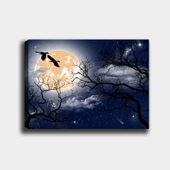 Репродукция на холсте Ночные птицы цена и информация | Настенные деревянные декорации | hansapost.ee