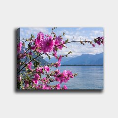 Репродукция Цветы, море, горы цена и информация | Репродукции, картины | hansapost.ee