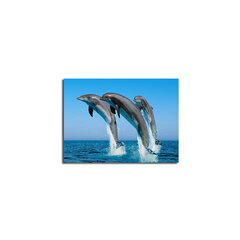 Reproduktsioon Delfiinid hind ja info | Seinapildid | hansapost.ee