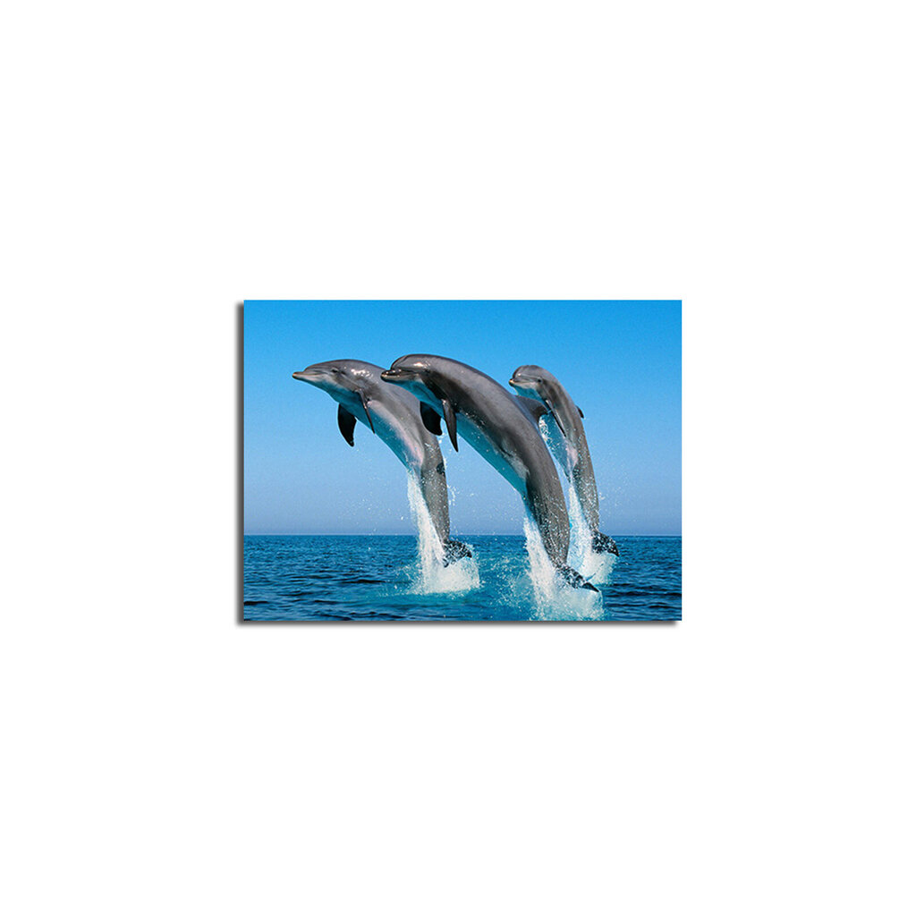 Reproduktsioon Delfiinid цена и информация | Seinapildid | hansapost.ee