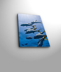 Reproduktsioon Delfiinid vee all hind ja info | Seinapildid | hansapost.ee
