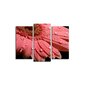 Kolmeosaline reproduktsioon Gerbera õis price and information | Seinapildid | hansapost.ee