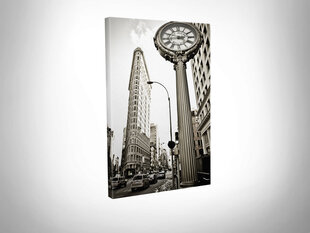 Репродукция Мэдисон-сквер, Нью-Йорк цена и информация | Репродукции, картины | hansapost.ee