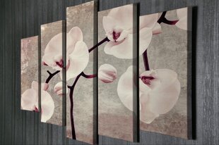 Viieosaline maal Orhidee hind ja info | Seinapildid | hansapost.ee