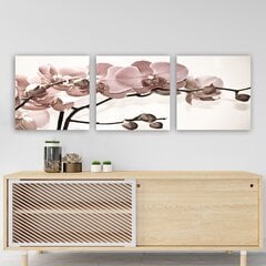 Репродукция из трех частей Орхидея цена и информация | Настенные деревянные декорации | hansapost.ee