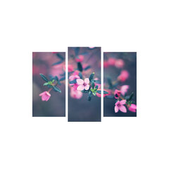Репродукция из трех частей Розовые цветы цена и информация | Настенные деревянные декорации | hansapost.ee