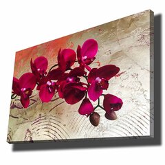 Репродукция Орхидея цена и информация | Репродукции, картины | hansapost.ee