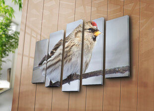 Репродукция Птицы цена и информация | Настенные деревянные декорации | hansapost.ee