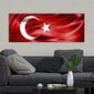 Reproduktsioon Türgi lipp цена и информация | Seinapildid | hansapost.ee