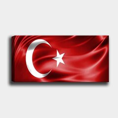 Репродукция Флаг Турции цена и информация | Настенные деревянные декорации | hansapost.ee