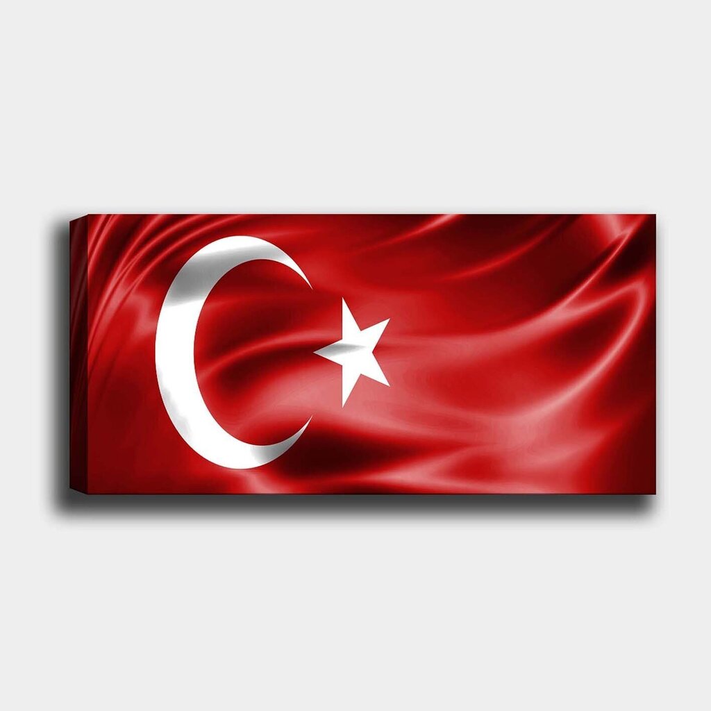 Reproduktsioon Türgi lipp цена и информация | Seinapildid | hansapost.ee