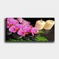 Reproduktsioon Orhideed ja küünlad цена и информация | Seinapildid | hansapost.ee