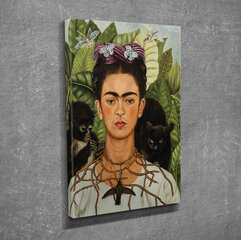 Pilt Frida hind ja info | Seinapildid | hansapost.ee
