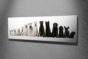 Репродукция Белые и черные собаки цена и информация | Настенные деревянные декорации | hansapost.ee