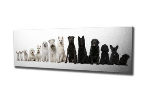 Репродукция Белые и черные собаки цена и информация | Настенные деревянные декорации | hansapost.ee