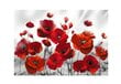 Fototapeet - Poppies in the Moonlight цена и информация | Fototapeedid | hansapost.ee