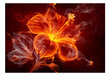 Fototapeet - Fiery flower hind ja info | Fototapeedid | hansapost.ee