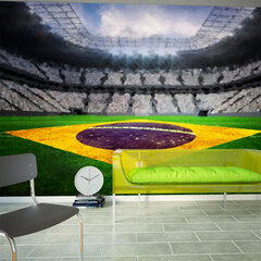 Fototapeet - Brazilian stadium hind ja info | Fototapeedid | hansapost.ee