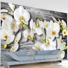 Fototapeet - Callous orchids III hind ja info | Fototapeedid | hansapost.ee