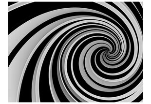 Fototapeet - Black and white swirl цена и информация | Фотообои | hansapost.ee