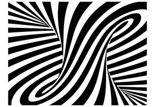 Fototapeet - optical art: black and white hind ja info | Fototapeedid | hansapost.ee