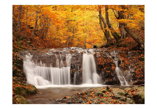 Fototapeet - Autumn landscape : waterfall in forest hind ja info | Fototapeedid | hansapost.ee