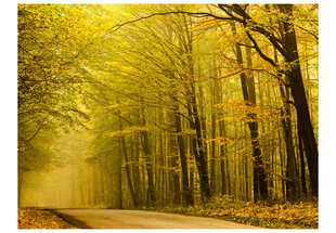 Fototapeet - Road in autumn forest hind ja info | Fototapeedid | hansapost.ee