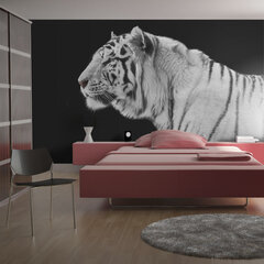 Fototapeet - White tiger hind ja info | Fototapeedid | hansapost.ee