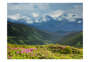 Fototapeet - Spring mountain landscape цена и информация | Фотообои | hansapost.ee